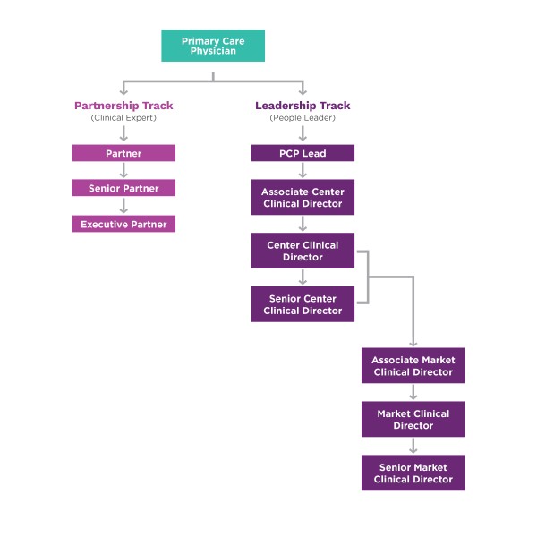 Physician Career Path